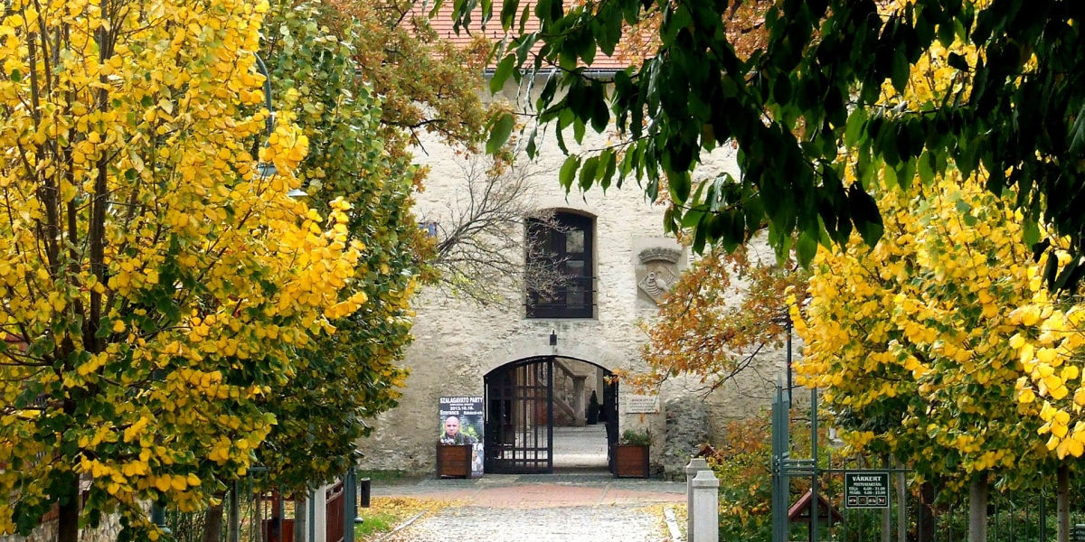 Pályázati felhívás SZMKK igazgatói munkakör betöltésére 