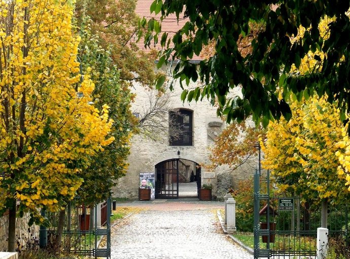 Pályázati felhívás SZMKK igazgatói munkakör betöltésére 