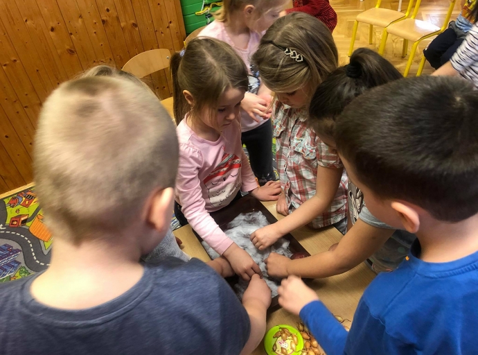 Növények ébredése