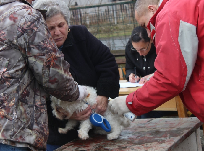 Veszettség elleni eboltás