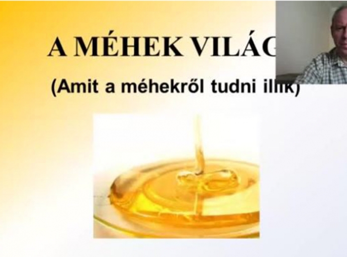 Amit a méhekről tudni illik