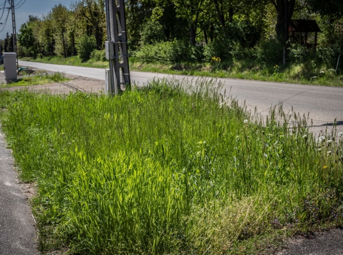 Köztisztasági tájékoztató