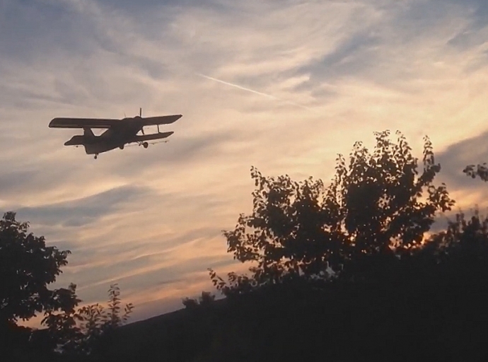 Figyelem! Szúnyogirtás – szerda 18 óra után