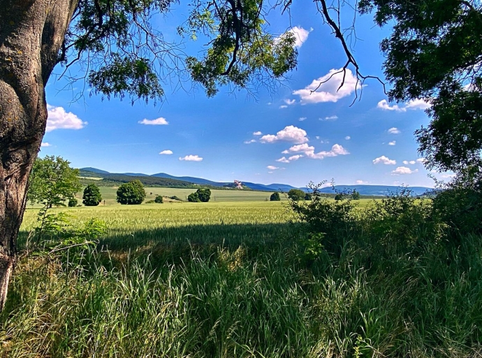 Figyelem! hőségriadó!