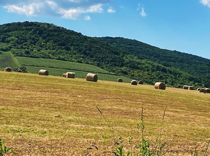 Meghívó agrártájékoztatási szakmai napra
