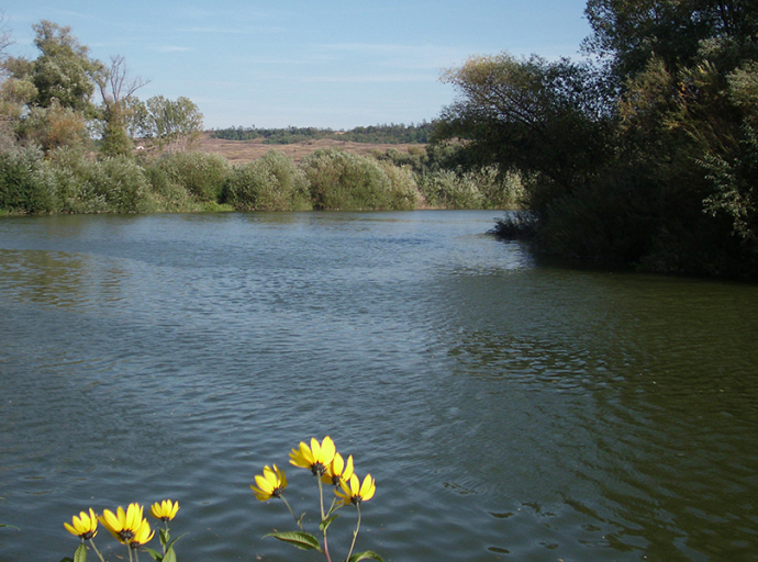 Vizitúra-vezetőket keresnek