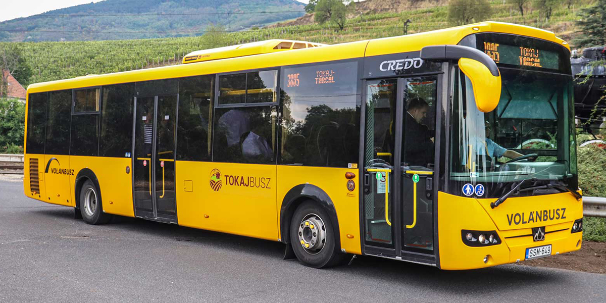 Szerencsi Artúr Napok – Tokajbusszal könnyebben elérhető